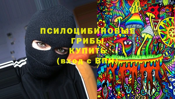 PSILOCYBIN Верея