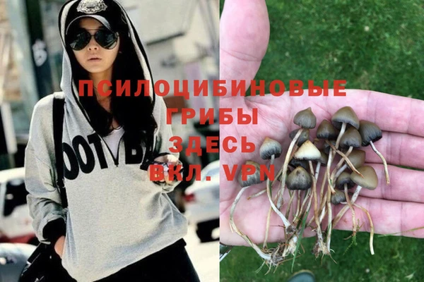 MDMA Верхний Тагил