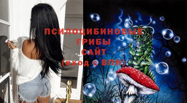 дурь Вяземский