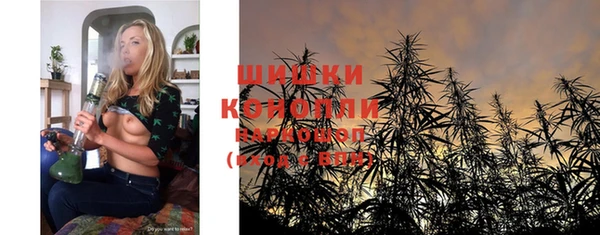 PSILOCYBIN Верея