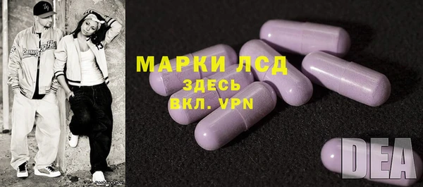 PSILOCYBIN Верея